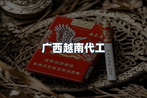 广西越南代工